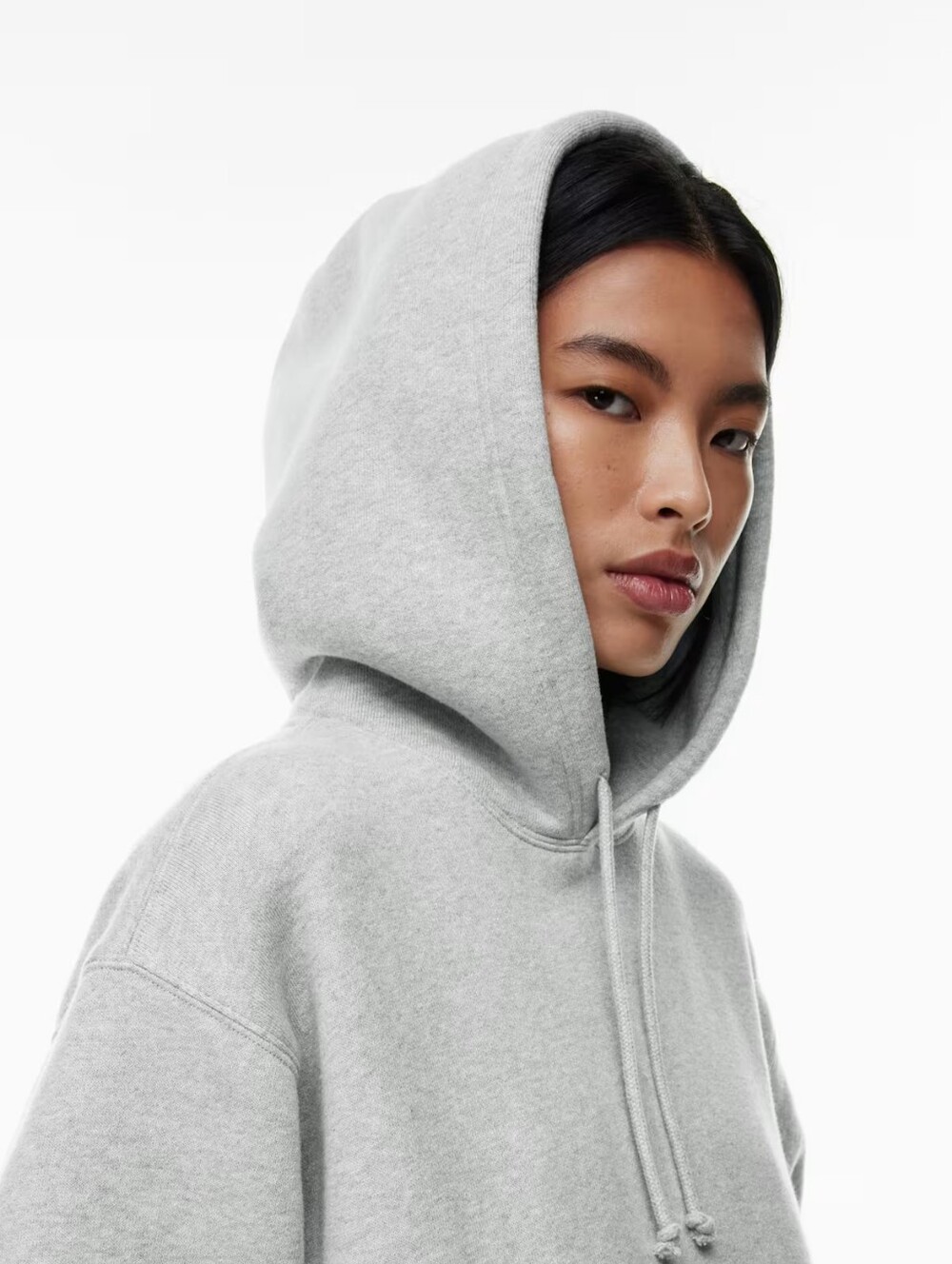 Aritzia TNA Cozy Fleece Bpyfriend Hoody Small Heather Grey